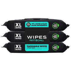 1 Pack, 48 Wipes - Unscented Extra-Large Wet Wipes with Vitamin-E & Aloe