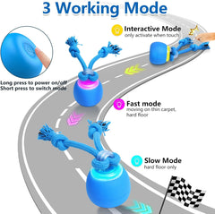 Touch-Activated Rolling Activity Ball for Dogs: Squeaky, USB Rechargeable (Puppy & Medium Sizes)