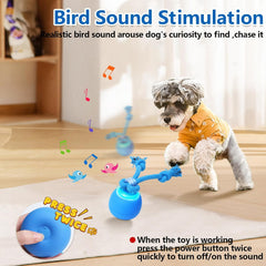 Touch-Activated Rolling Activity Ball for Dogs: Squeaky, USB Rechargeable (Puppy & Medium Sizes)