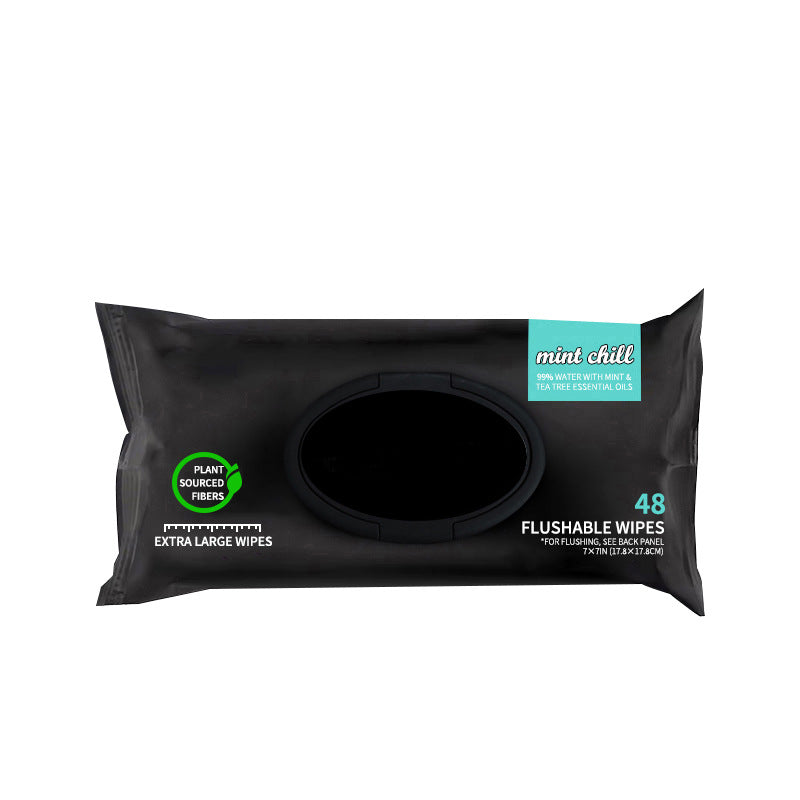 1 Pack, 48 Wipes - Unscented Extra-Large Wet Wipes with Vitamin-E & Aloe