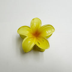 Gradient Flower Hair Clawst, Polyester Woven, Mixed Color, Pop-Culture Theme, Fashionable Casual Style, Perfect for Outings & Commuting, Ideal Gift for Young Ladies