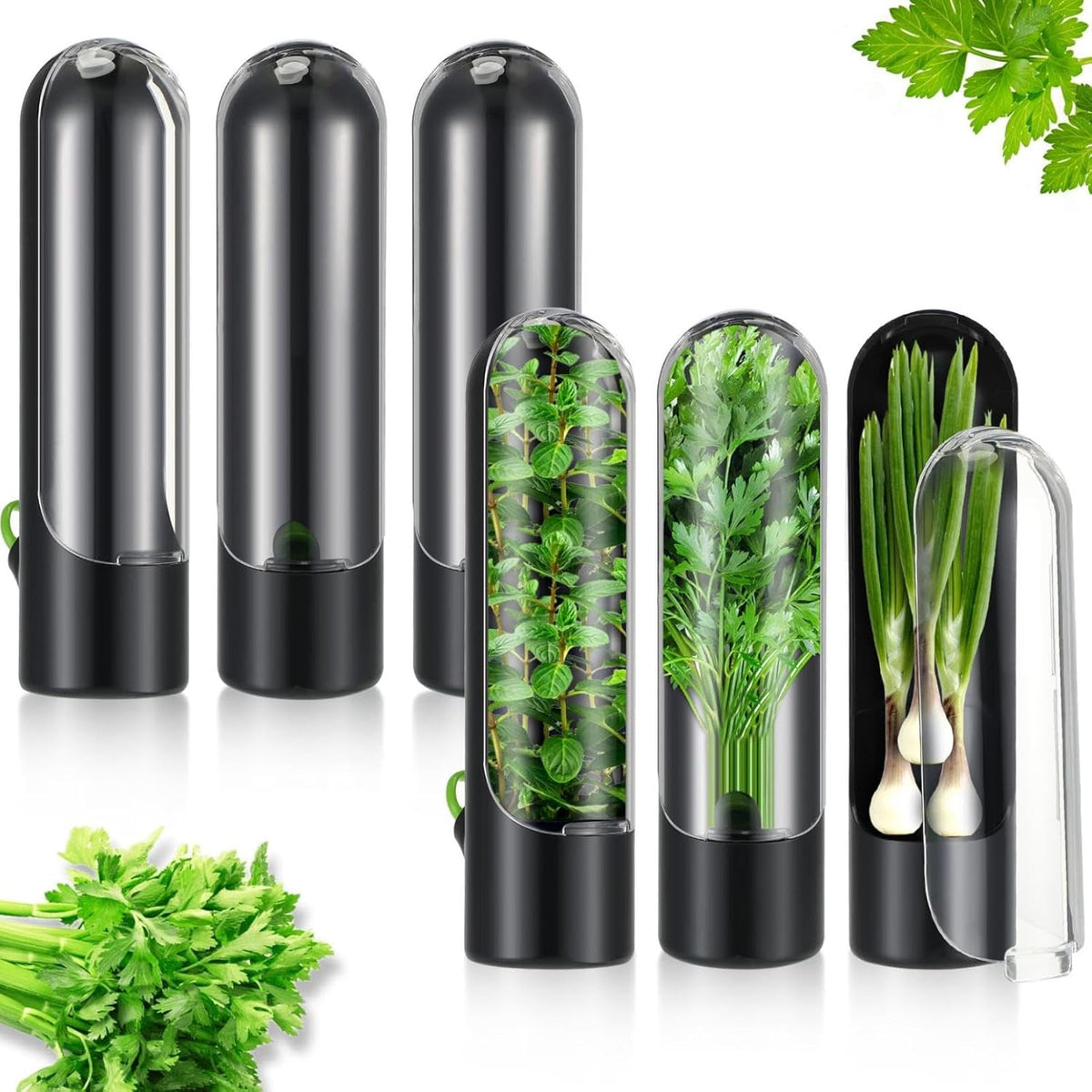 Portable Cilantro Containers for Refrigerator, Herb Storage Containers, Home Herb Containers for Cilantro, Parsley, Asparagus