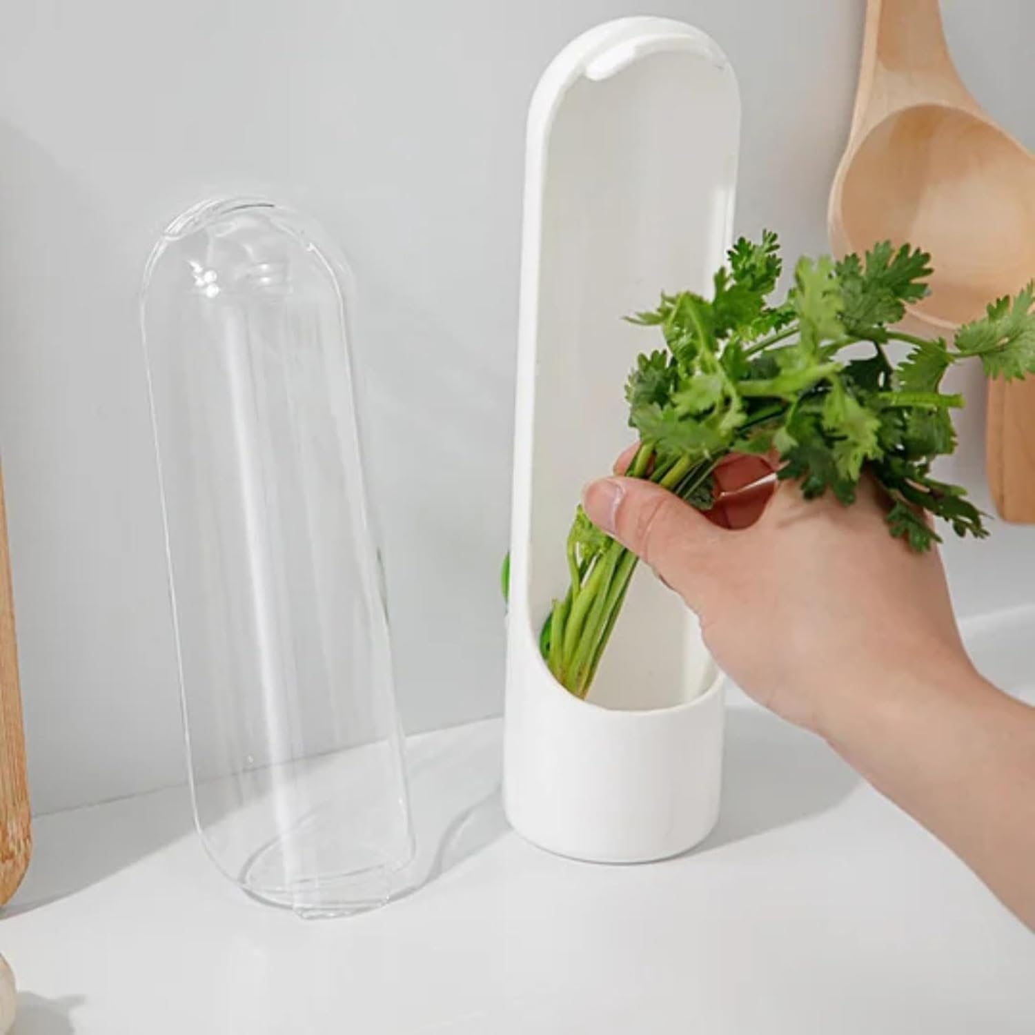 Portable Cilantro Containers for Refrigerator, Herb Storage Containers, Home Herb Containers for Cilantro, Parsley, Asparagus