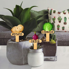15 pieces/set of wooden plant labels can be reused